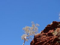 DSC07089  Karijini NP