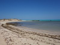 DSC07140  Shark Bay