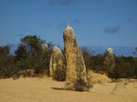 DSC07429  Pinnacles