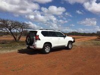 IMG 6508  Das Auto: Toyota Landcruiser Prado