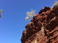 IMG 6637  Karijini NP