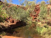 IMG 6638  Karijini NP