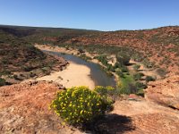 IMG 6890  Kalbarri NP