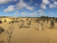 IMG 6977  Pinnacles