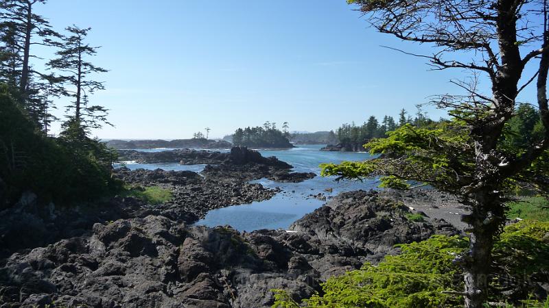 P1000955.JPG - Pacific Rim National Park