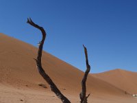 Sossusvlei