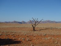 Namib