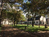 Kapstadts Weingegend Groot Constantia