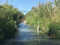 Flussdurchquerung bei den Augrabie Wasserfällen