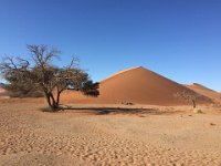 Dünen bei Sossusvlei: Die höchsten der Welt (380m)