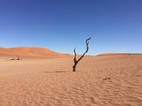 Sossusvlei