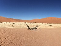 Sossusvlei